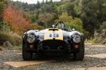 Shelby Cobra 289 Competition (19) 1964 года